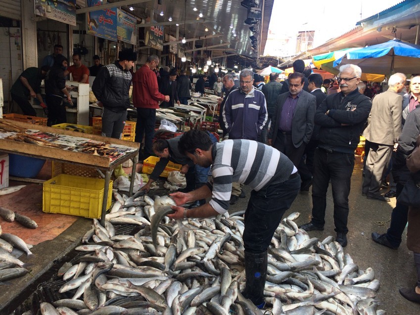بازار ماهی فروشان فریدونکنار