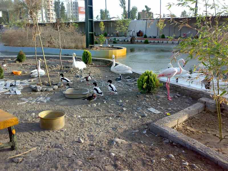 باغ پرندگان فریدونکنار