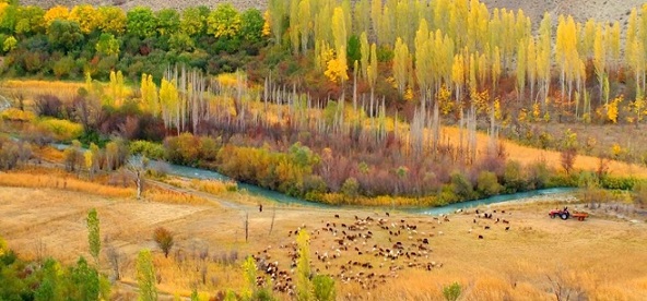 روستای هرانده