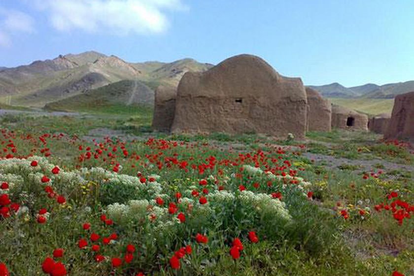 باغ کشمیر