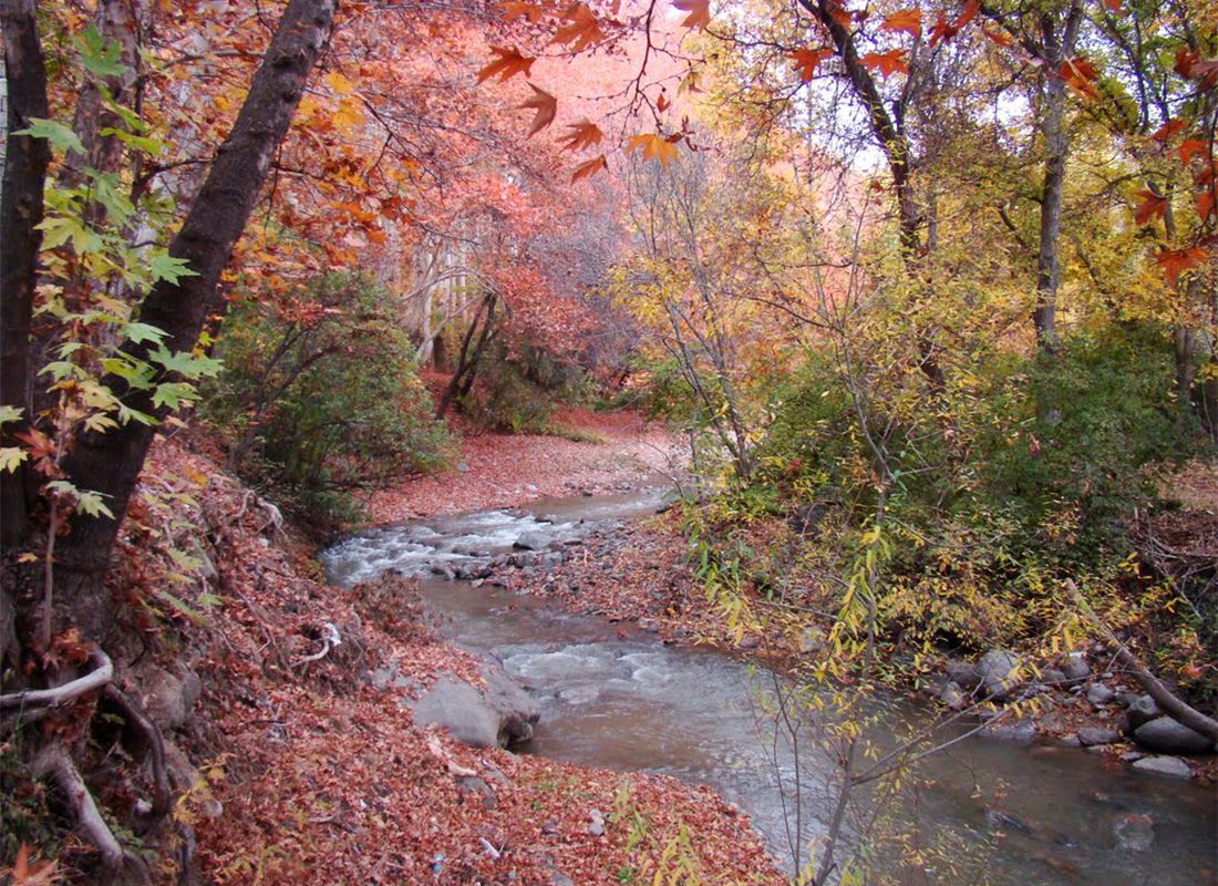 جاهای دیدنی ساوجبلاغ