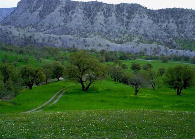 منطقه جنگلی ششدار